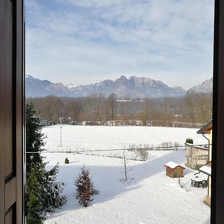 Agriturismo Antica Pieve Limana エクステリア 写真
