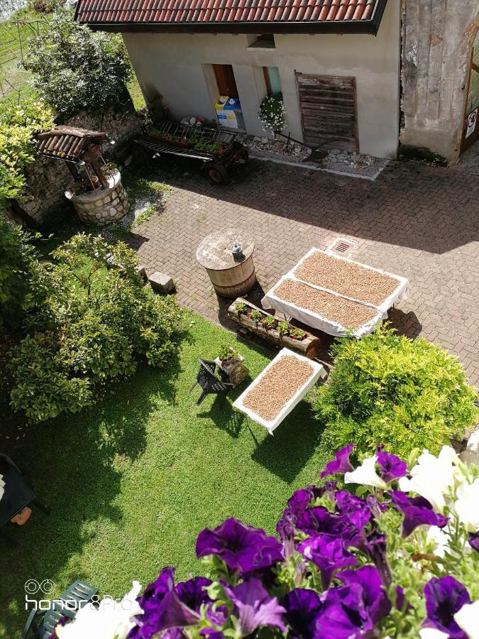 Agriturismo Antica Pieve Limana エクステリア 写真